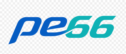 pe66 logo